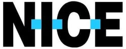 nice-web-logo-1